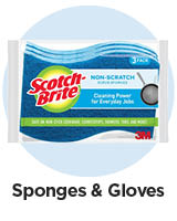 Sponges & Gloves